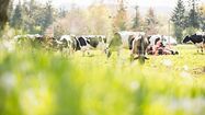 1500 COUPS DE POUCE - Le Blanc des Pyrénées étend encore sa gamme